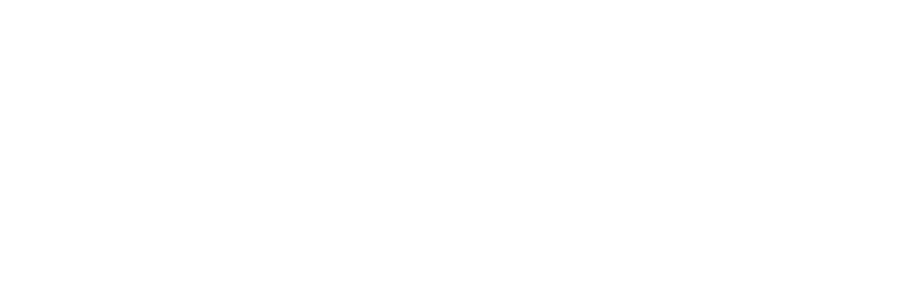 Vivo San José